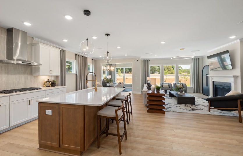 Kitchen Open to the Main Living Space - Model Representation