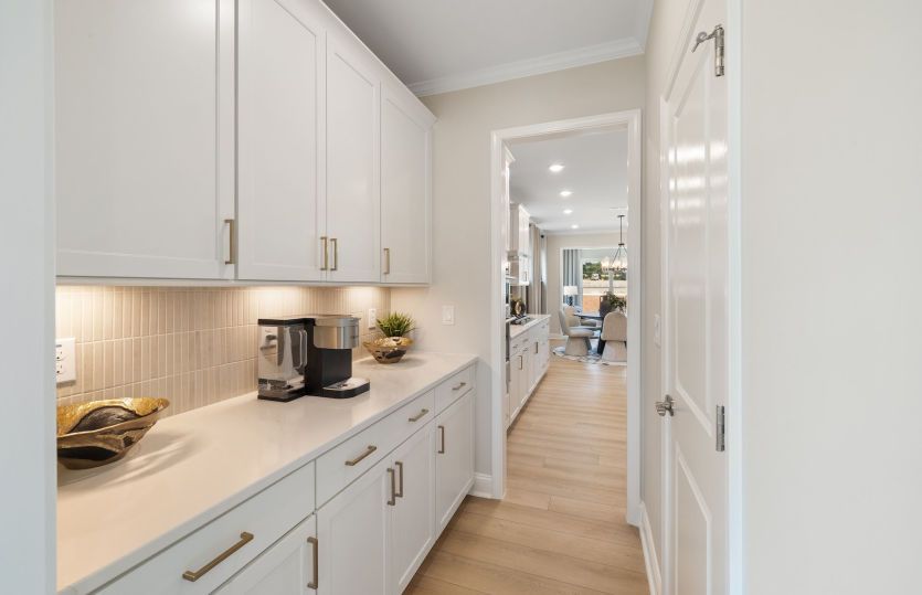Extra Storage and Counter Space in Future Butler's Pantry - Model Representation
