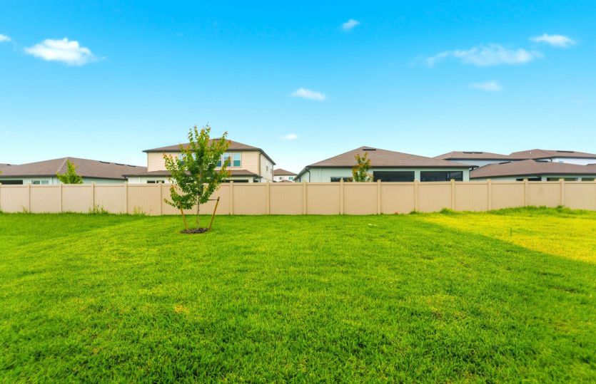 Spacious Backyard