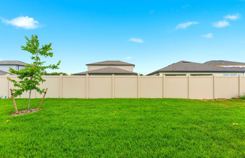 Spacious Backyard