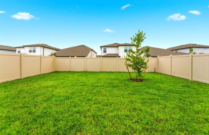 Spacious Backyard