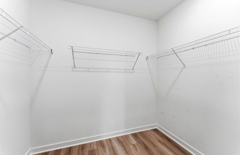 Owner's Walk-in Closet