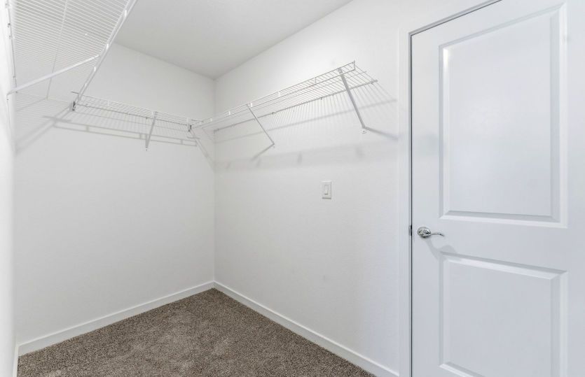 Owner's Walk-in Closet