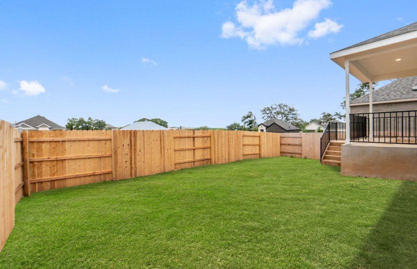 Backyard