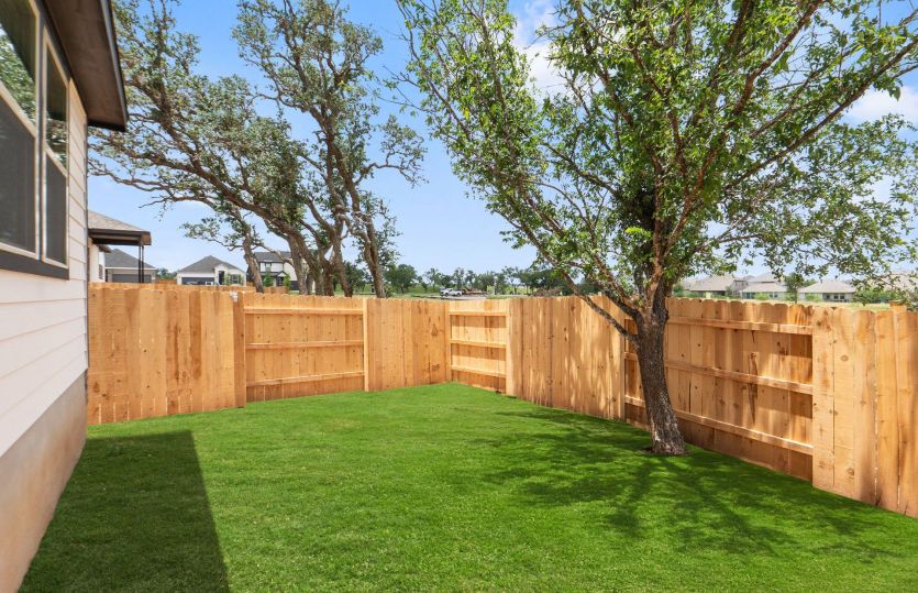 Backyard
