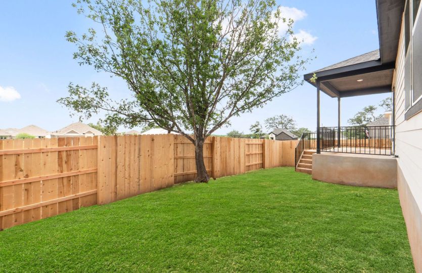 Backyard