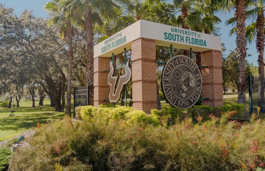 Minutes From USF