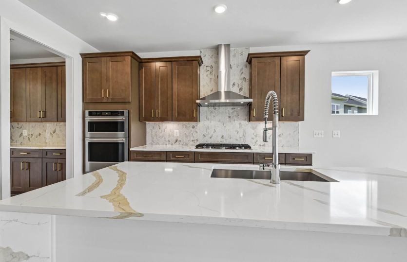 Gourmet Kitchen - Actual Home