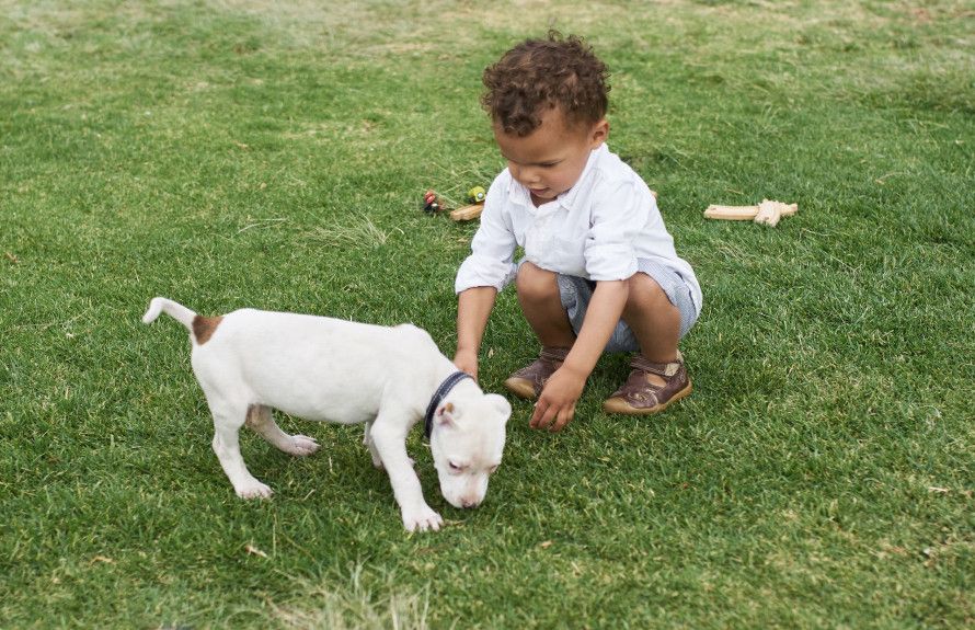 Open Space for Play
