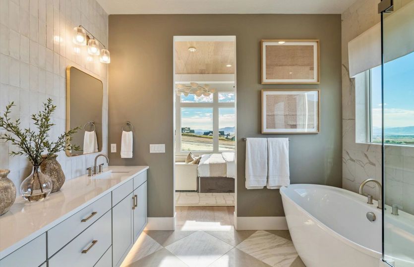 Spa-like owner's bathroom