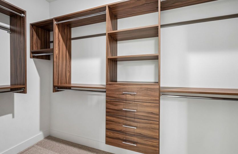 Owner's Walk-In Closet