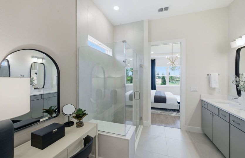 Owner's Bathroom