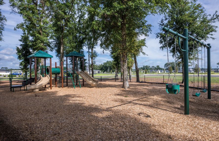 Room to Roam & Play