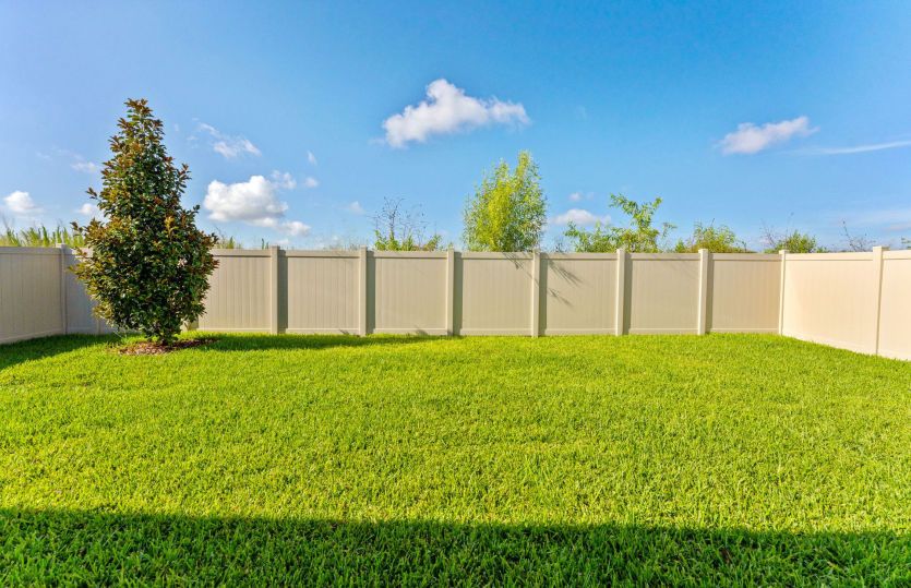 Spacious Backyard