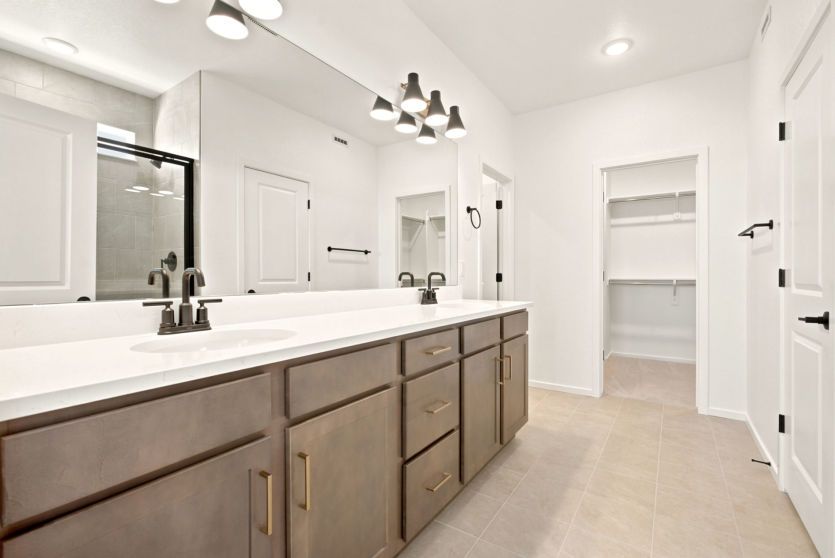 Owner's Bath