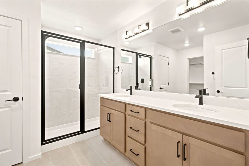 Owner's Bath