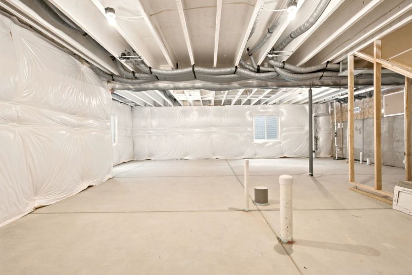 Unfinished Basement