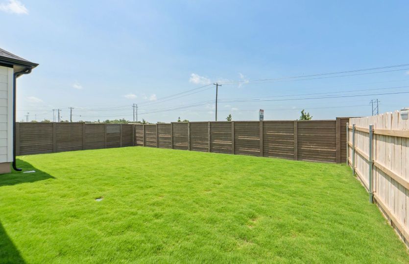 Backyard