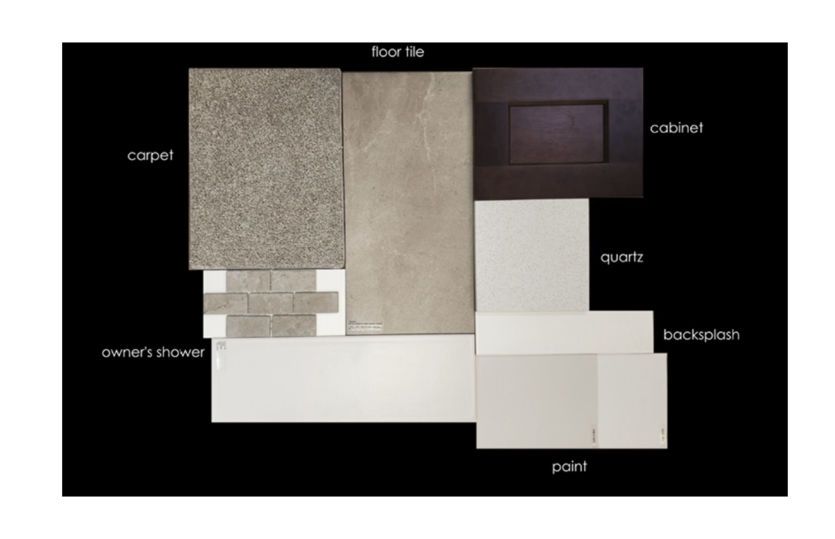 Interior Color Scheme