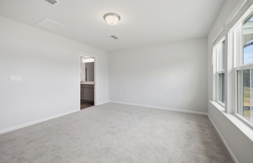 Raritan homesite 14 - Owner's Suite with Ample Light & a Cozy Vibe