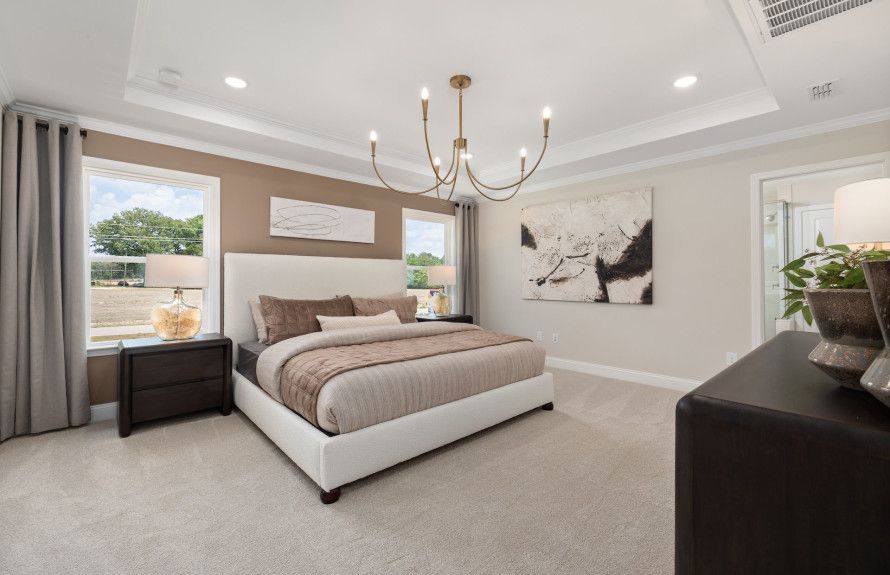 Beautiful Owner's Suite with Tons of Space
