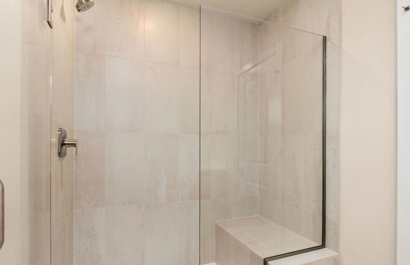 Owner's Walk-In Shower