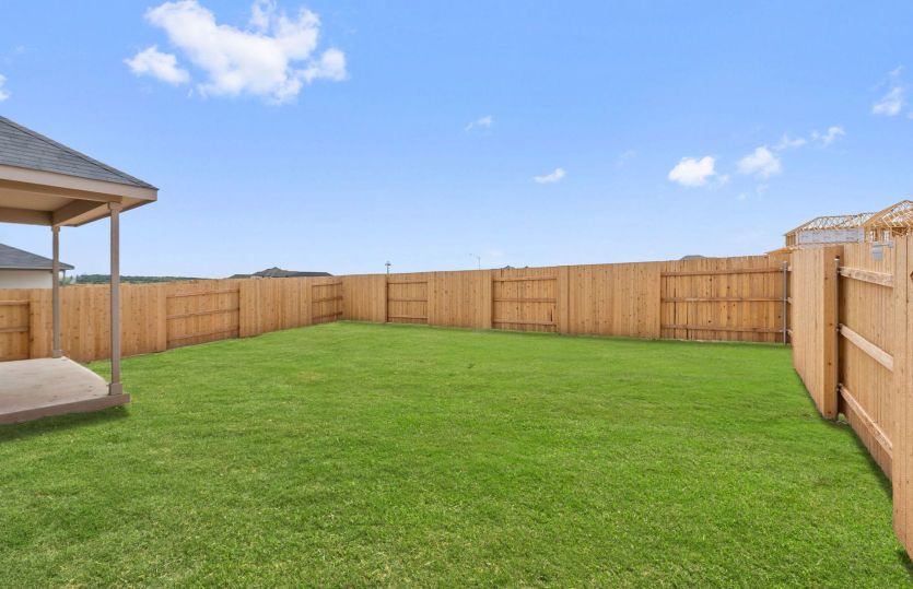 Backyard