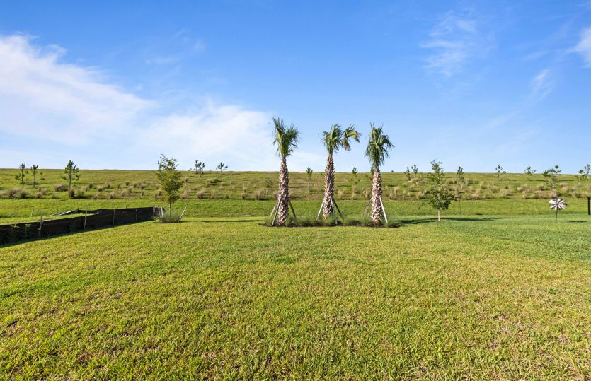 View from this home
