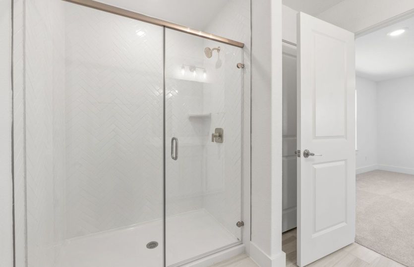 Representational Photo- Primary Bathroom Shower
