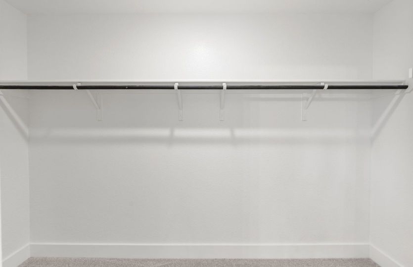 Representational Photo- Primary Closet