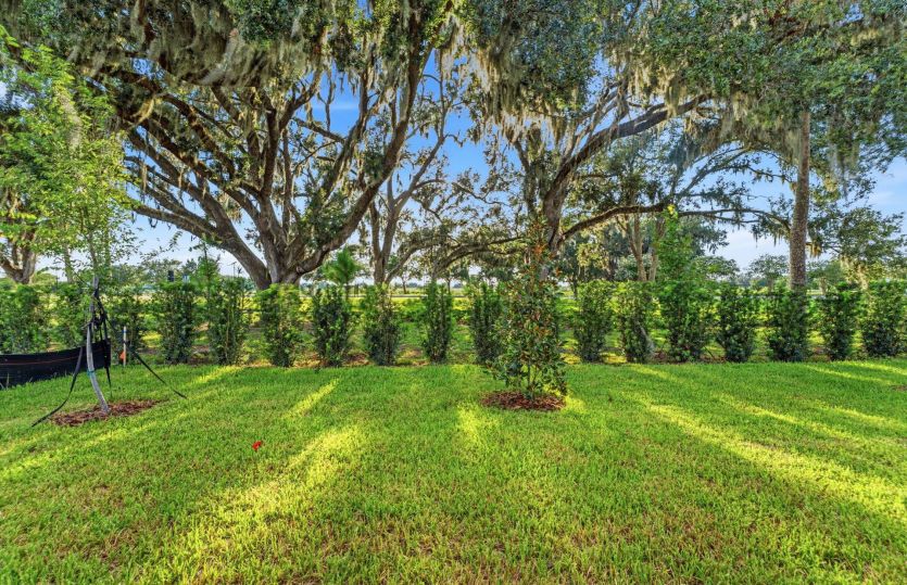 Rear Landscape Buffer - No Rear Neighbors