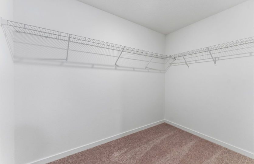 Owner's Walk-in Closet