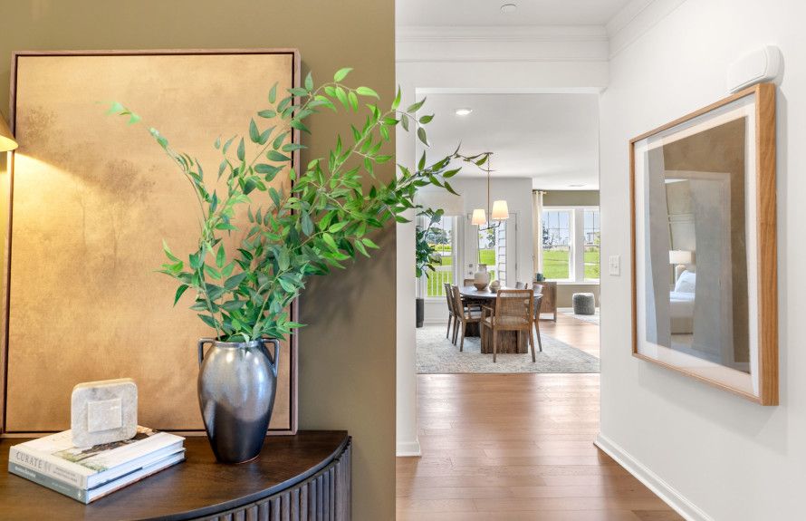 Sunlit Rooms