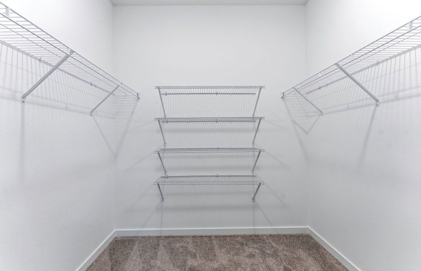 Owner's Walk-in Closet