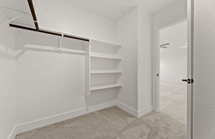 Representational Photo- Primary Closet