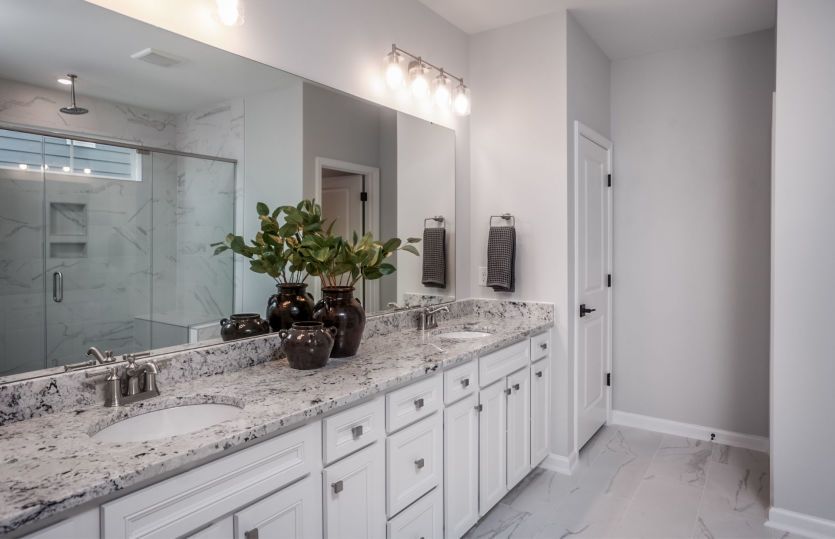 Owner's Bath