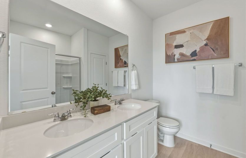 Model Representation- Primary Bathroom