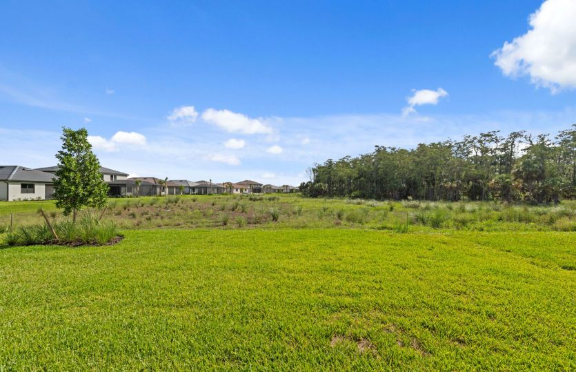 View from this home