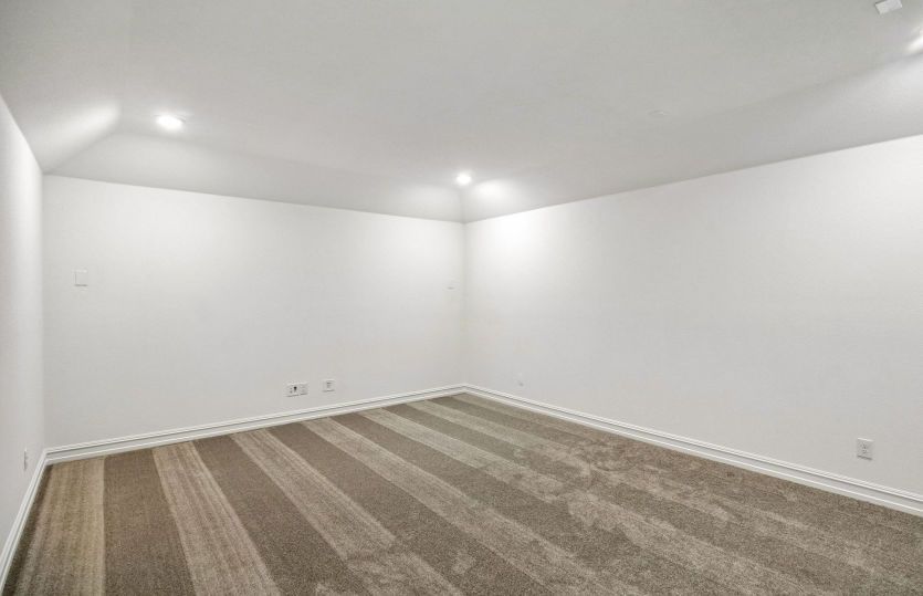 Spacious media room