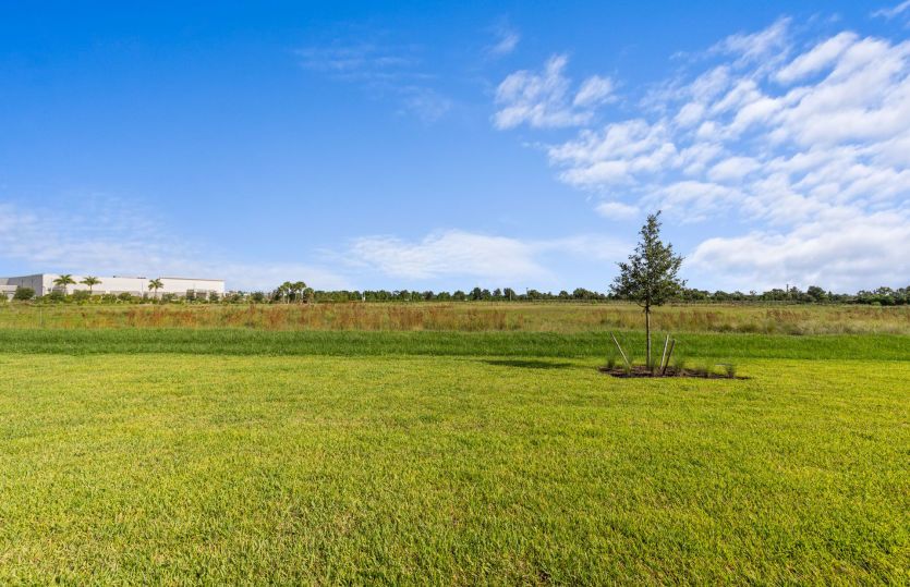 View from this home