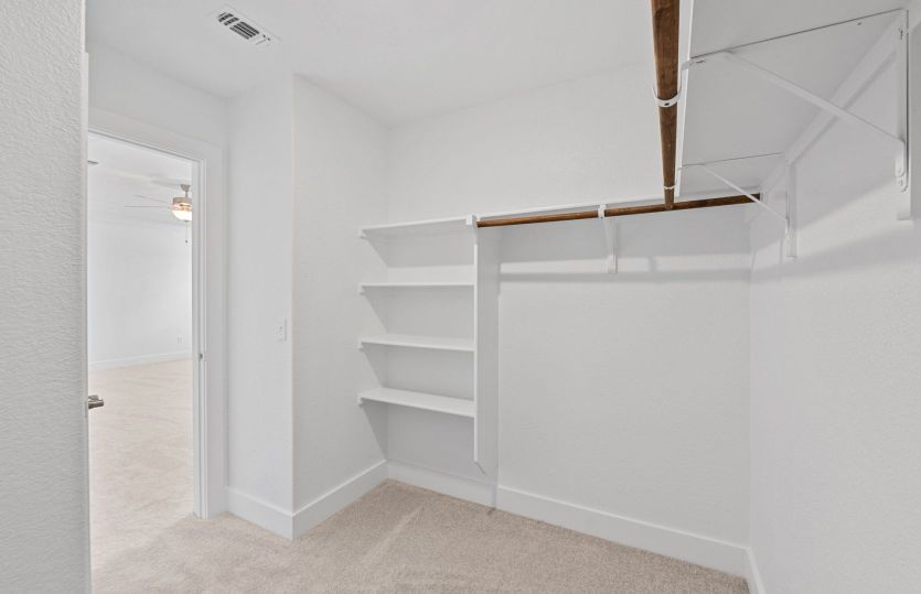 Representational Photo- Primary Closet