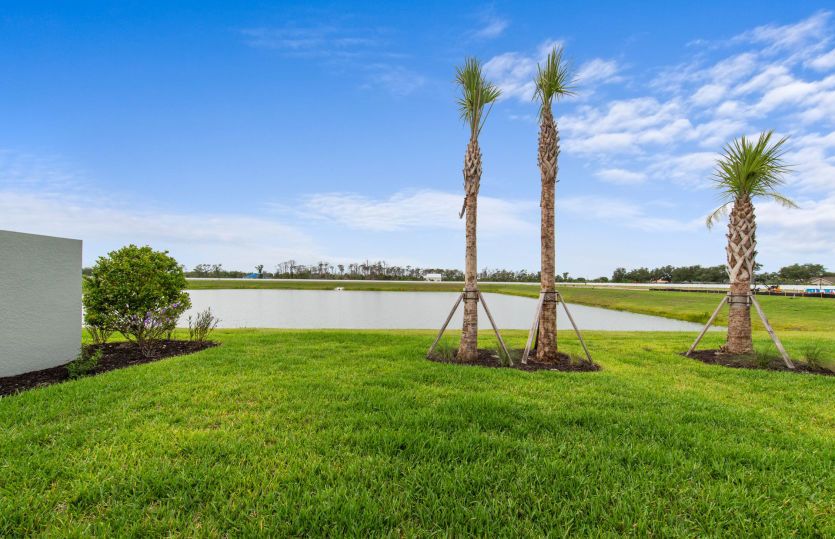 View from this home