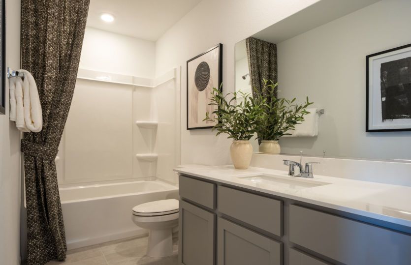 Owner's Bath
