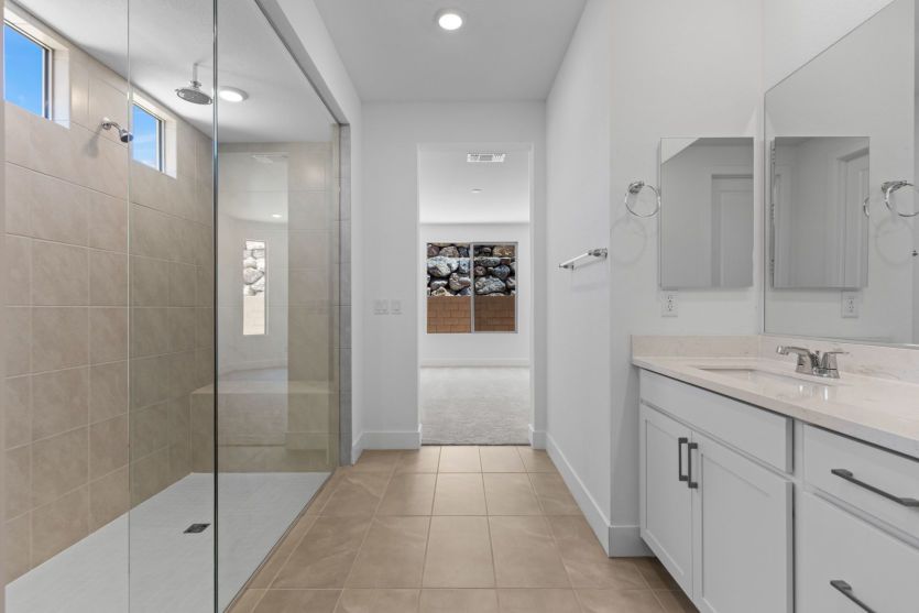 Owner's Bath