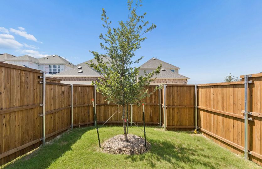 Fenced-in backyard