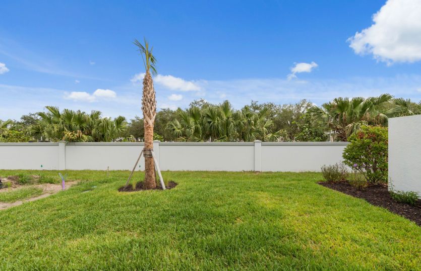Backyard of this home