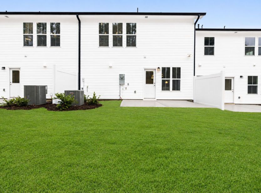Backview