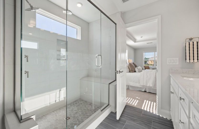 Owner's Bathroom Entry