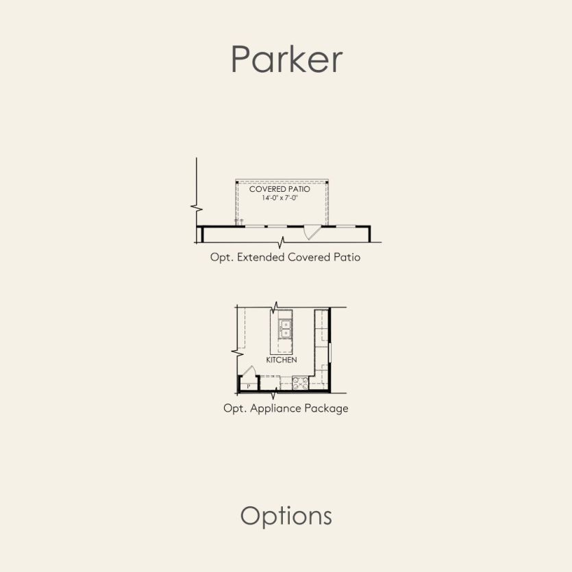 Options
