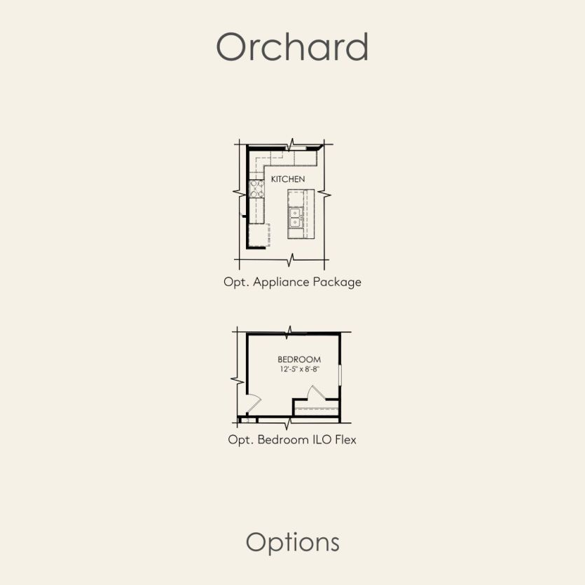 Options